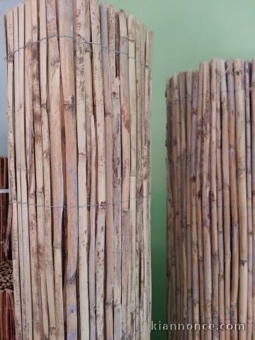 Canisse Naturel PRIX PROMO