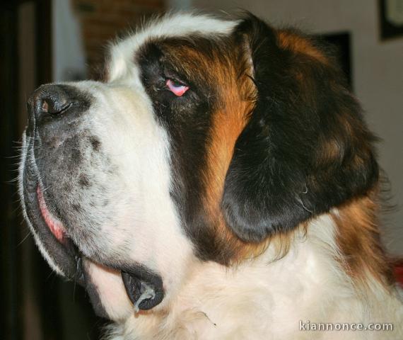 Don de temps, don d amour , etre grands parents de coeur 