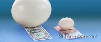 Offres de prêt rapide et fiable