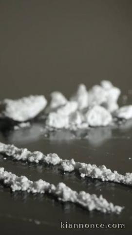 Tout est disponible, Coke,  crâne, pullule, Laoud