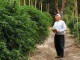 cultivateur à domicile avec un énorme rendement en variétés