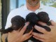 B&eacute;b&eacute; chiot caniche disponible 