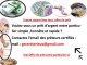   ,Offre de pret entre particulier sérieux